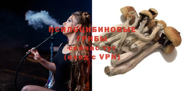 стаф Алексин