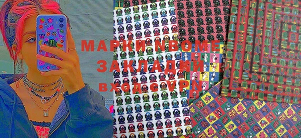 стаф Алексин